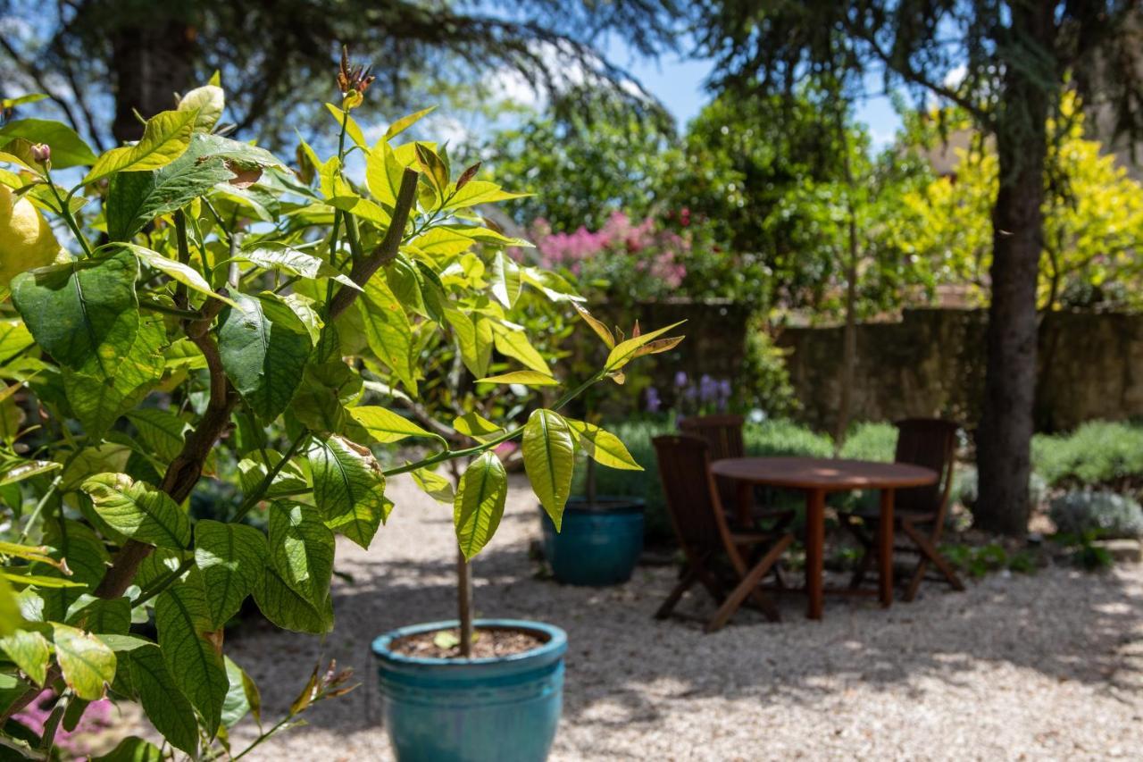 Le Jardin de Mazan Bed & Breakfast Exterior foto